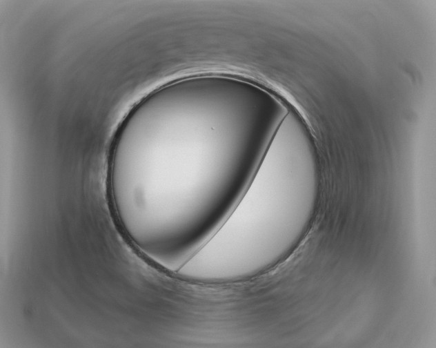 X0000113231508200909100932