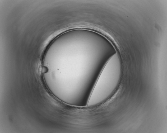 X0000113231509200909100932