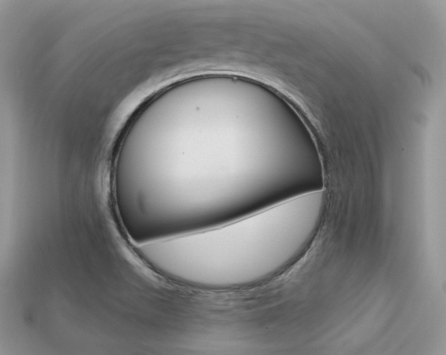 X0000113231511200909100932