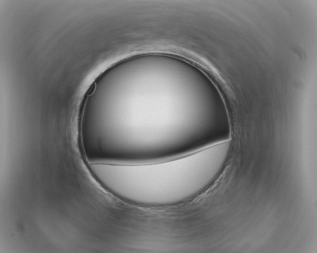 X0000113231512200909100932