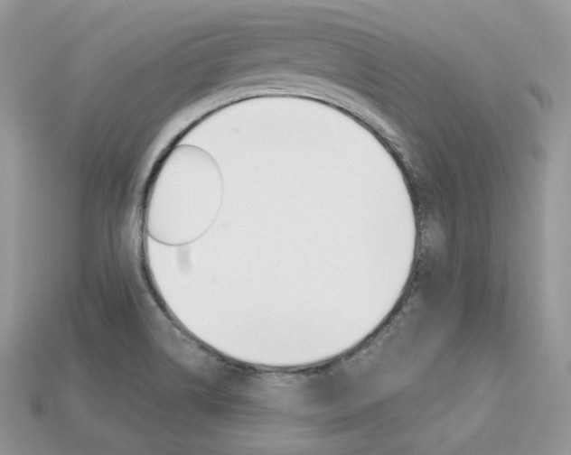 X0000113231514200909100932
