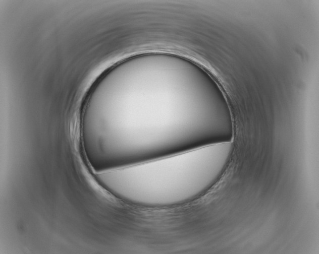 X0000113231515200909100932