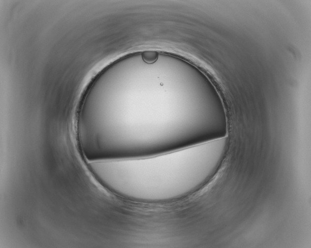 X0000113231517200909100933