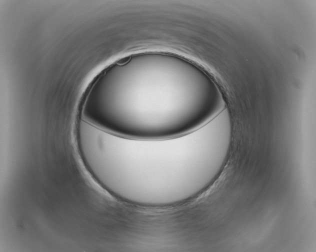 X0000113231518200909100933