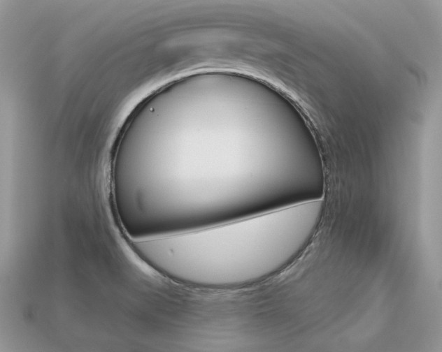 X0000113231519200909100933