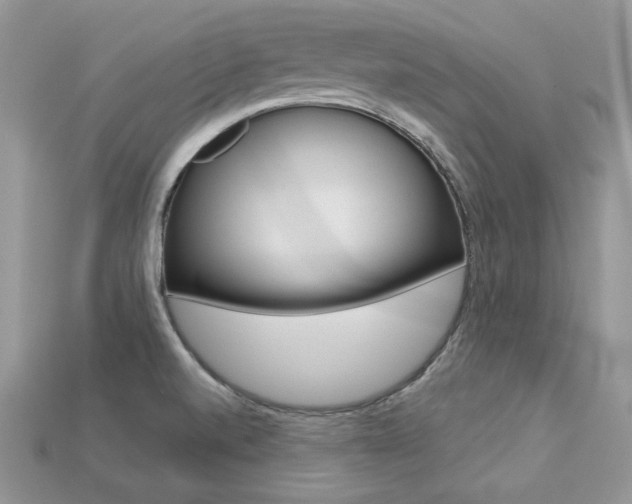 X0000113231520200909100933