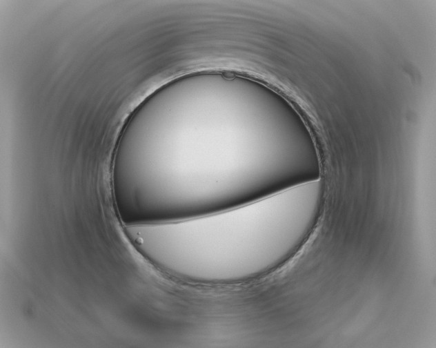 X0000113231521200909100933