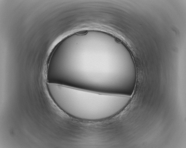 X0000113231522200909100933