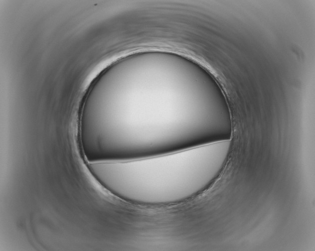 X0000113231523200909100933