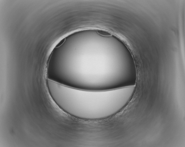 X0000113231524200909100933