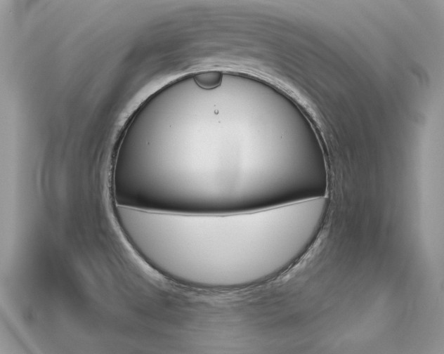 X0000113231525200909100933