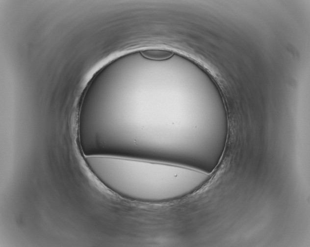 X0000113231526200909100933