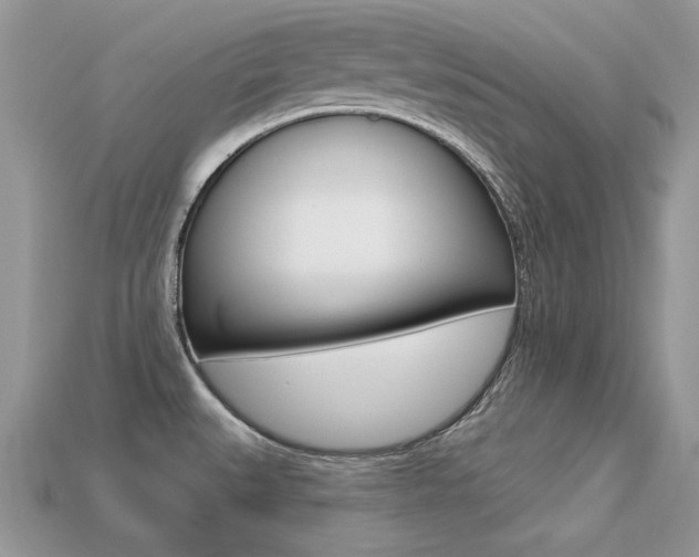 X0000113231527200909100933