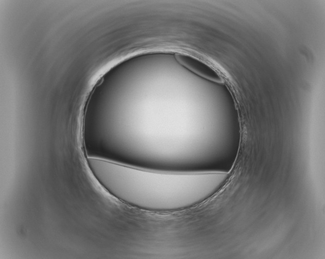 X0000113231528200909100933