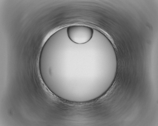 X0000113231530200909100933