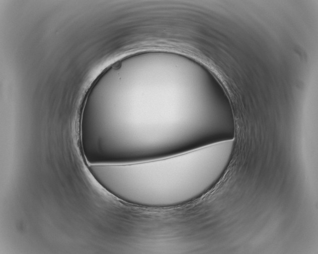 X0000113231531200909100933