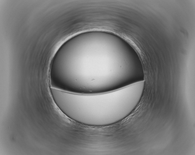 X0000113231532200909100933