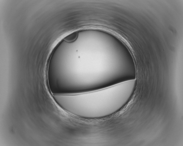 X0000113231533200909100933