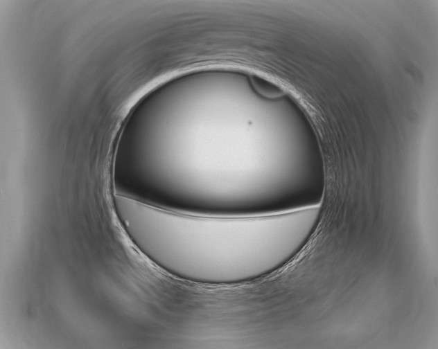 X0000113231534200909100933