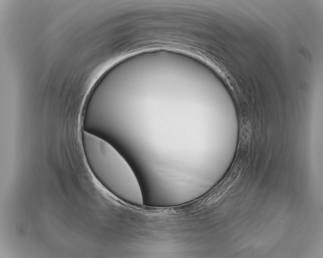 X0000113231535200909100933