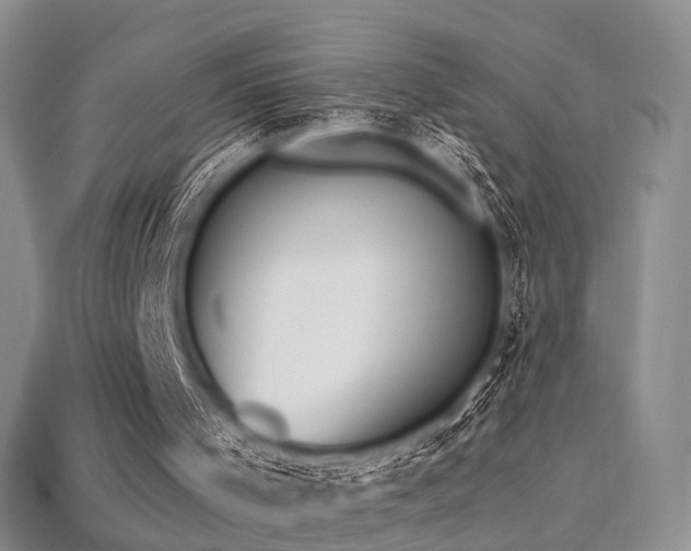 X0000113230001200909101221