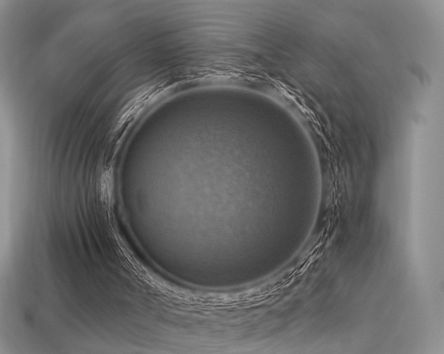 X0000113230002200909101221