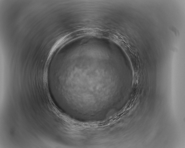 X0000113230004200909101221