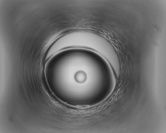 X0000113230005200909101221