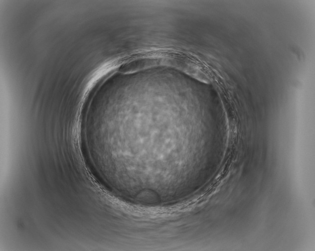 X0000113230006200909101221