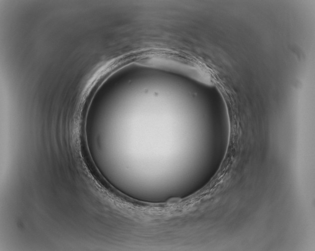 X0000113230007200909101221