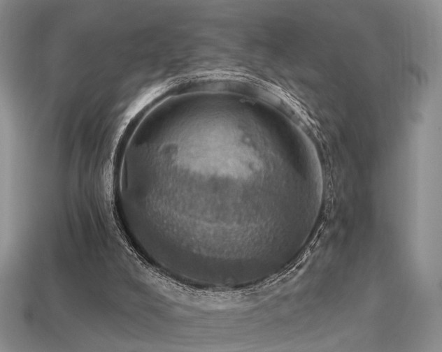 X0000113230008200909101221