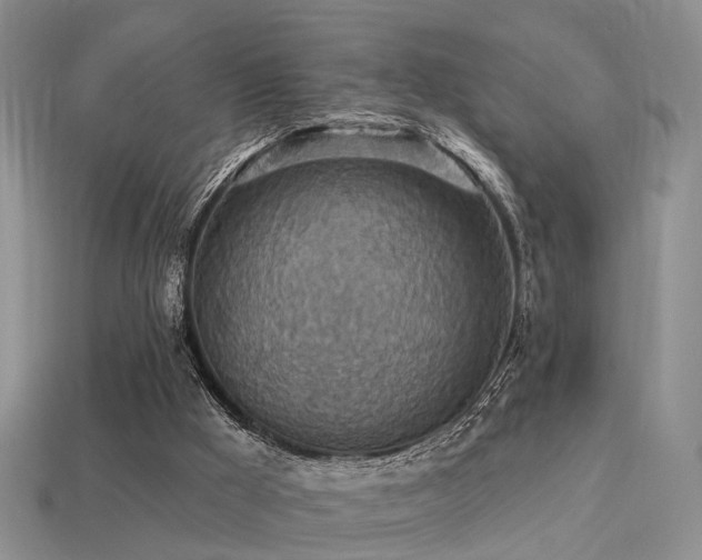X0000113230009200909101220
