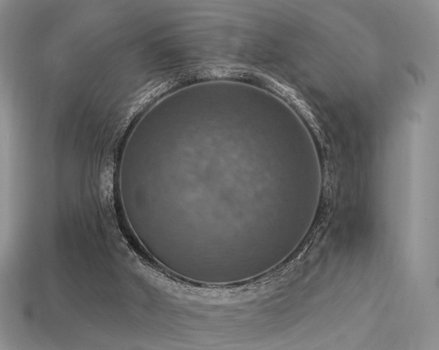 X0000113230010200909101220