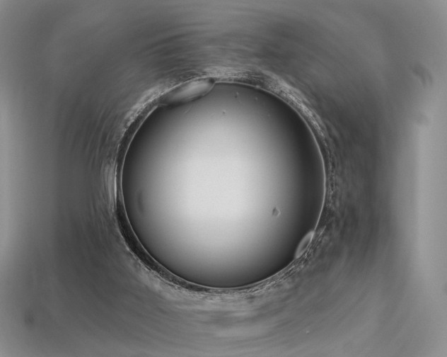 X0000113230011200909101220