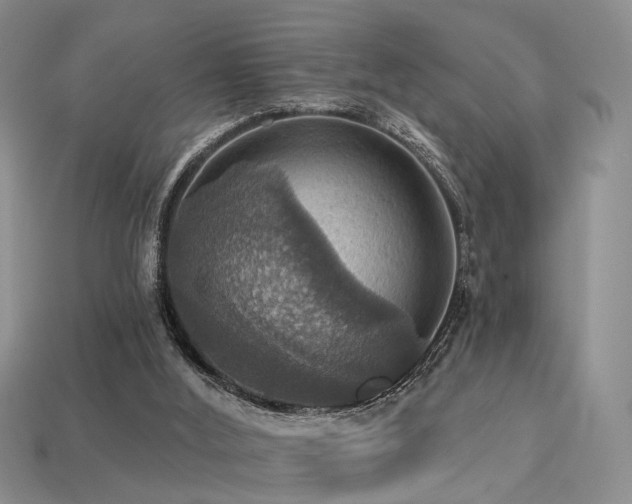 X0000113230012200909101220