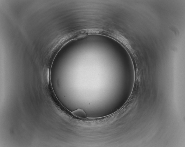 X0000113230013200909101220