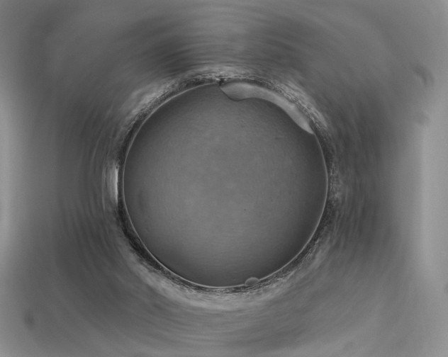 X0000113230014200909101220