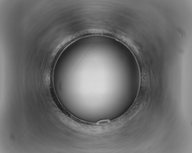 X0000113230015200909101220