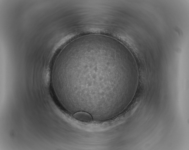 X0000113230016200909101220