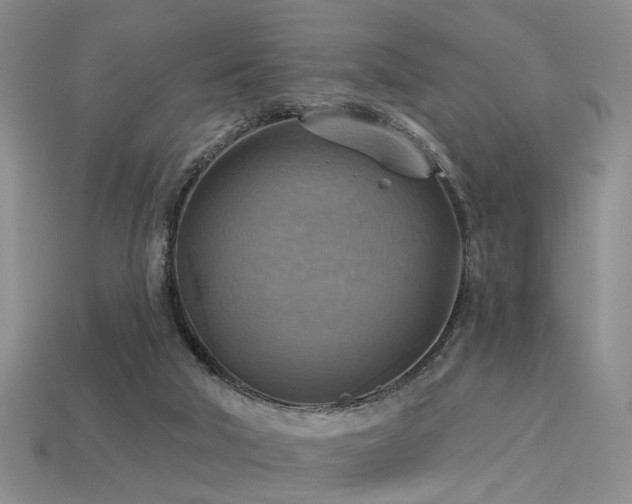 X0000113230018200909101220