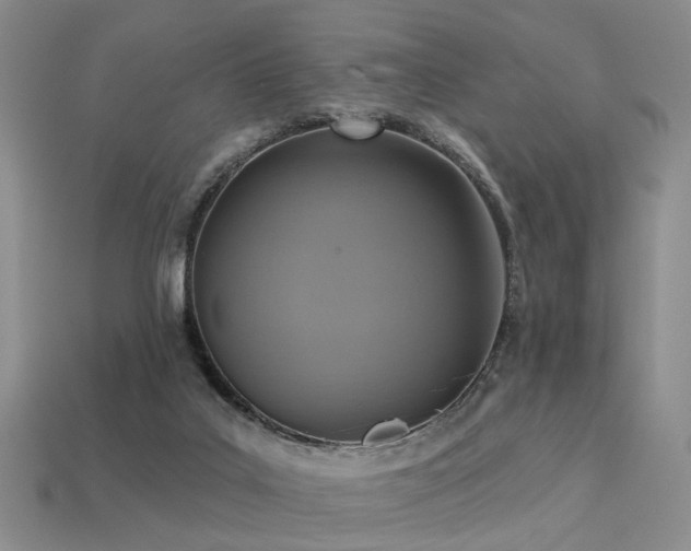 X0000113230019200909101220