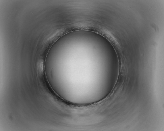 X0000113230021200909101220