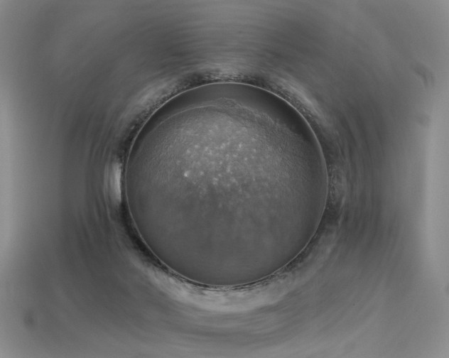 X0000113230022200909101220