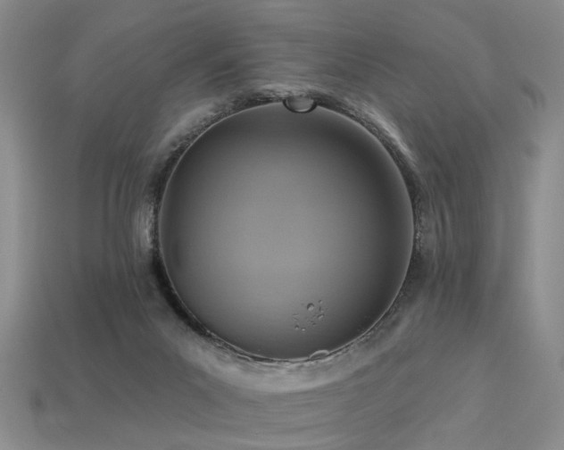 X0000113230023200909101220
