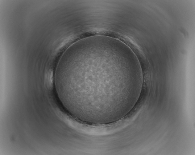 X0000113230024200909101220