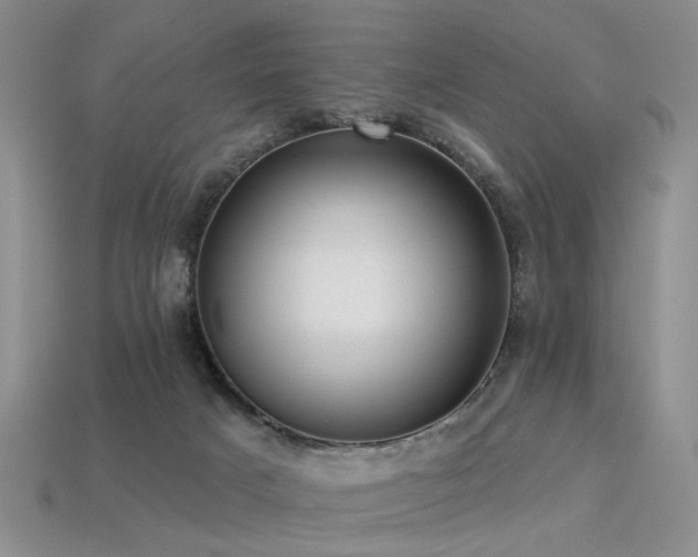 X0000113230025200909101220