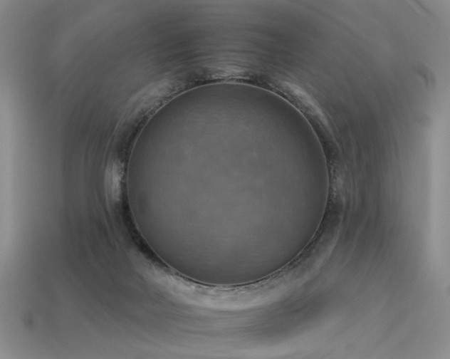 X0000113230026200909101220
