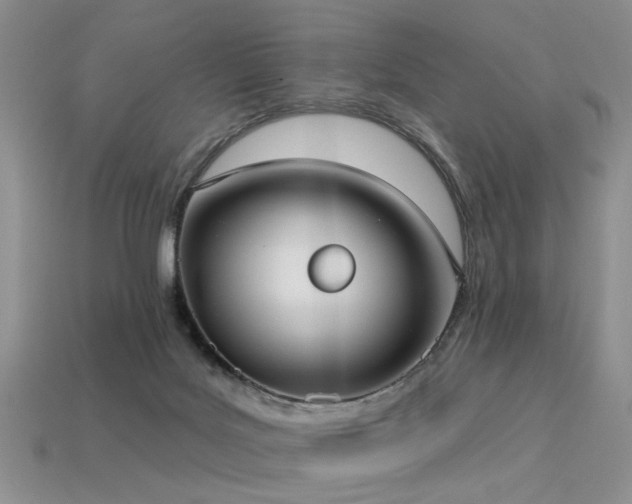 X0000113230027200909101220