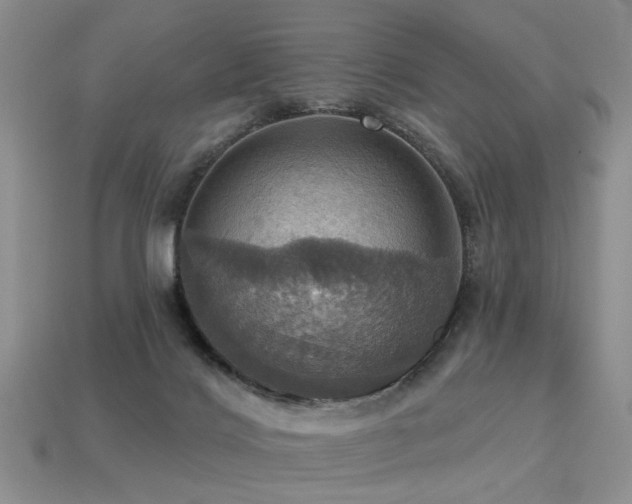X0000113230028200909101220
