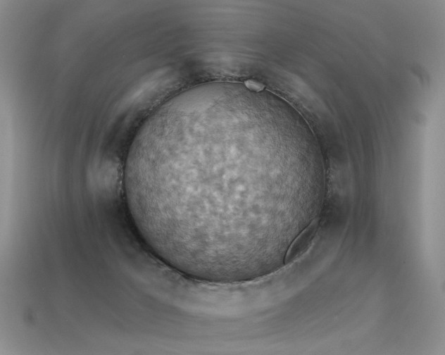 X0000113230029200909101220